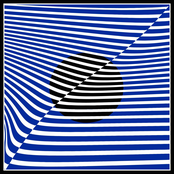 ZEBEDEE: Going Nowhere Fast