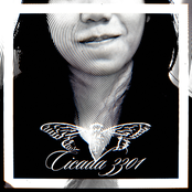 Cicada 3301