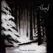 La Mort Plane Sur Ces Contrées Glacées by Alcest