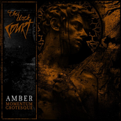 Amber ~ Momentum Grotesque