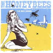 A Fool Like You by The Honeybees