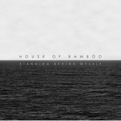 Standing Behind Myself