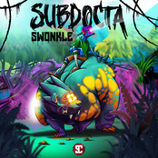 Subdocta: Swonkle