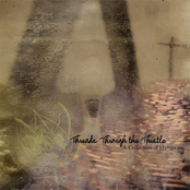 Threads Through The Thistle