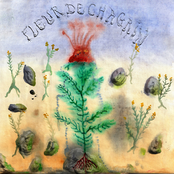 Fleur de chagrin
