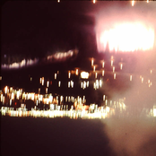 Massachusetts Palm Clearing