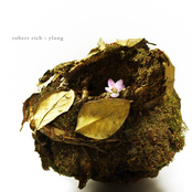 First Rain by Robert Rich
