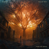 From The Ashes - Single