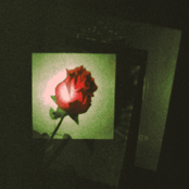 Shadows of Our Lives