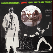 Vietcong by Gary Bartz Ntu Troop