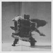 Movement Building, Vol. 2