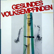Gesundes Volksempfinden