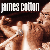 Next Time You See Me by James Cotton