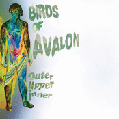 Earthbound by Birds Of Avalon