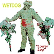 Lower Leg - Single