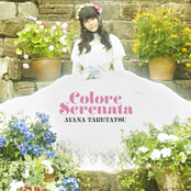 Colore Serenata (Standard Edition)