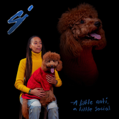 a little anti, a little social