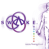 Reverse Flowing Blood