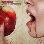 Animales de Sangre Caliente