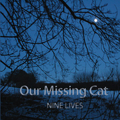 Crime by Our Missing Cat