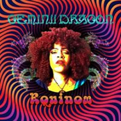 GeminiiDRAGON: Equinox