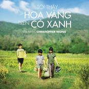 Tôi Thấy Hoa Vàng Trên Cỏ Xanh (Original Motion Picture Soundtrack)