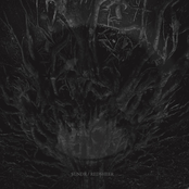 SPLIT LP