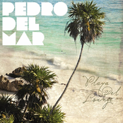 A New Beginning (ole Van Bohm Chillout Mix) by Pedro Del Mar