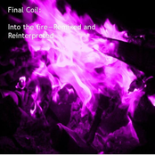 Into the fire (remixes and reinterpretations)