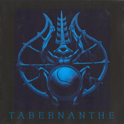 Tabernanthe