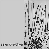 Coming Back by Sister Overdrive