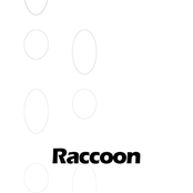 Raccoon