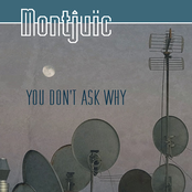 You Don't Ask Why
