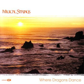 Magical Strings: Where Dragons Dance