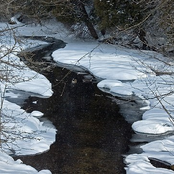 The Dying of the Light