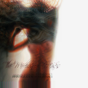 Desintegration of Persistance