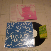 Sky:Lark