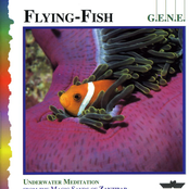 Flying Fish by G.e.n.e.