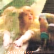 "Escalator" soundscore by David Linton