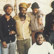 roots radics