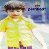 So Why Petrified ?