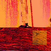 Antarctica's Elephant