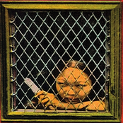 The Right to Remain Silent