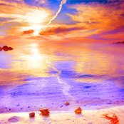 A Fluid Calm Under Thoughts So Elegant