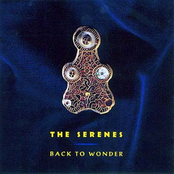 The Gathering Of Eighteen Years Of Silence by The Serenes
