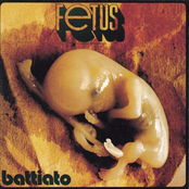 Fetus by Franco Battiato