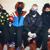 Amores Nascem e Morrem