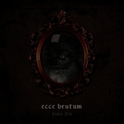 Ecce Brutum