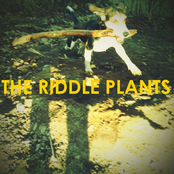 the riddle plants