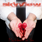 Skyview: My Heart To You